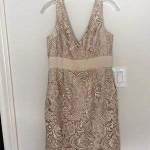 Adrianna Papell Beige Lace Midi Dress
